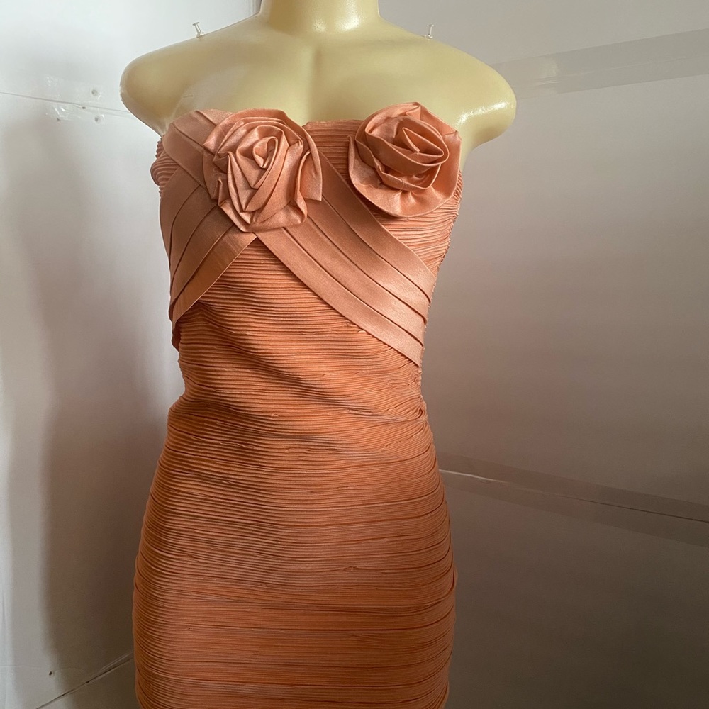 Romeo & Juliet couture